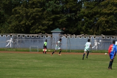 DSC00140