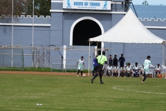 DSC00141