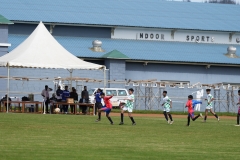 DSC00154