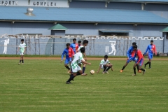 DSC00160