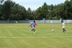 DSC00191