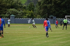 DSC00208
