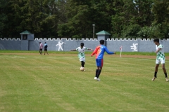 DSC00210