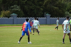 DSC00219