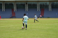 DSC00239