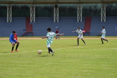 DSC00240