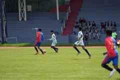 DSC00253