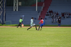 DSC00254
