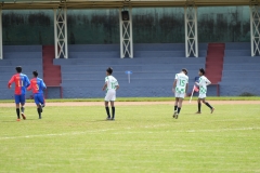DSC00303
