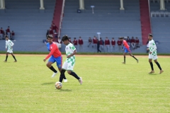 DSC00310