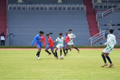 DSC00316