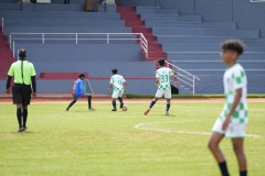DSC00319