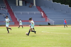 DSC00325