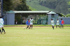 DSC00339