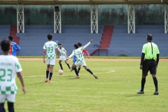 DSC00379
