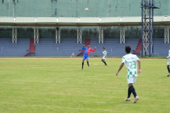 DSC00401