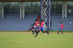 DSC00403
