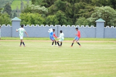 DSC00420
