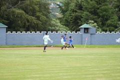 DSC00437