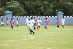 DSC00445