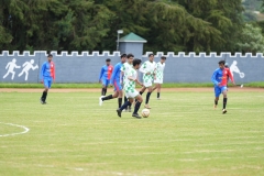 DSC00447