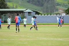 DSC00456