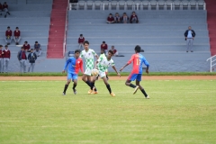 DSC00459