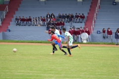 DSC00461