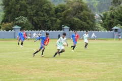 DSC00483