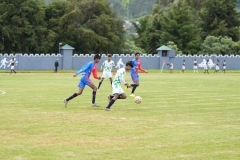 DSC00484