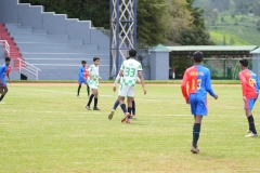 DSC00506