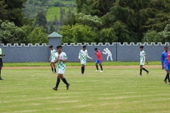 DSC00510