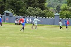 DSC00517
