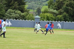 DSC00520