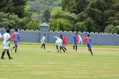 DSC00521