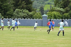DSC00547
