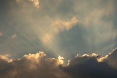 An Evening Under The Stars