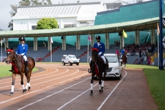 untitled-14 untitled-14