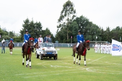 untitled-31 untitled-31