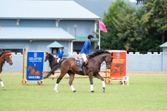 untitled-409 untitled-409