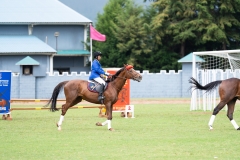 untitled-410 untitled-410