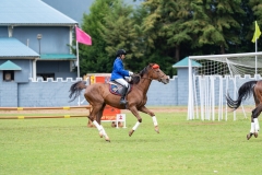 untitled-411 untitled-411