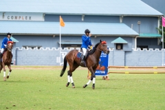 untitled-415 untitled-415