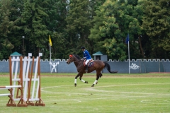 untitled-419 untitled-419