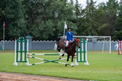 untitled-424 untitled-424