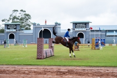 untitled-428 untitled-428