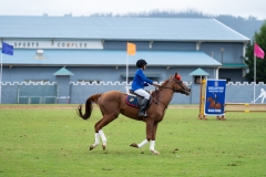 untitled-429 untitled-429