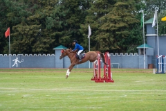 untitled-431 untitled-431