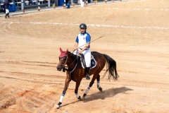 Hooves In Harmony Horse Show