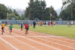 DSC01301